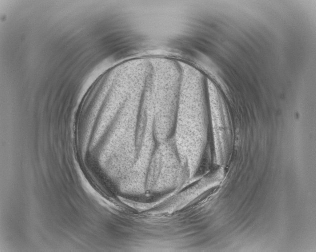 X0000060221483200511181200