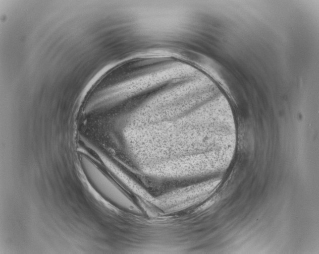 X0000060221484200511181200