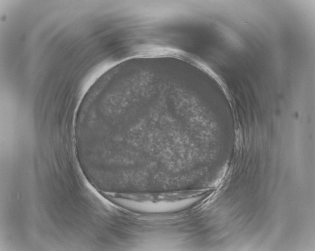 X0000060221487200511181200