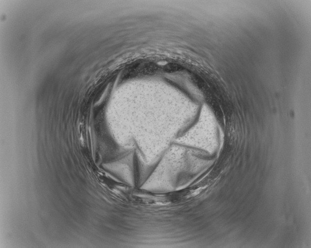X0000060221490200511181159
