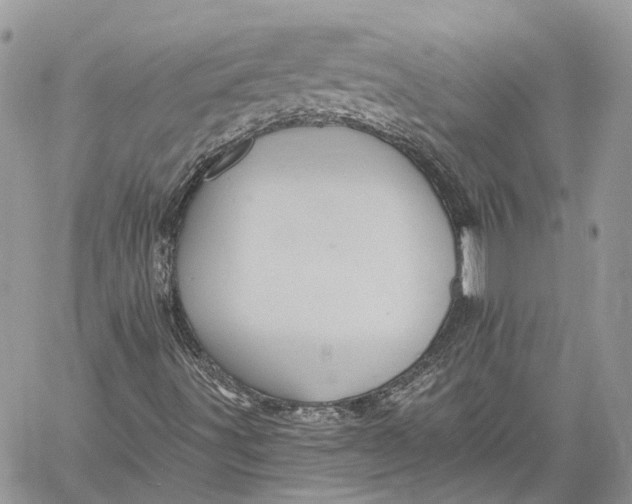 X0000060221491200511181159