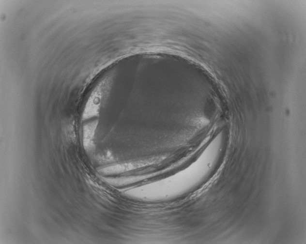 X0000060221497200511181159