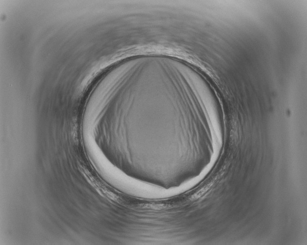 X0000060221499200511181159
