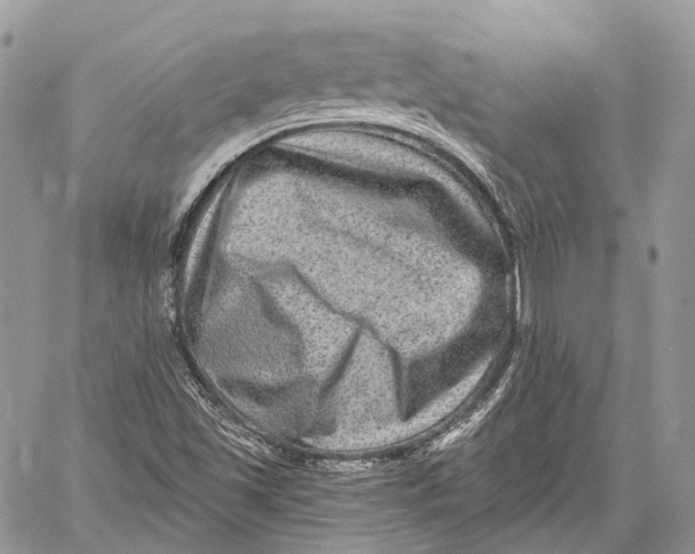 X0000060221501200511181159