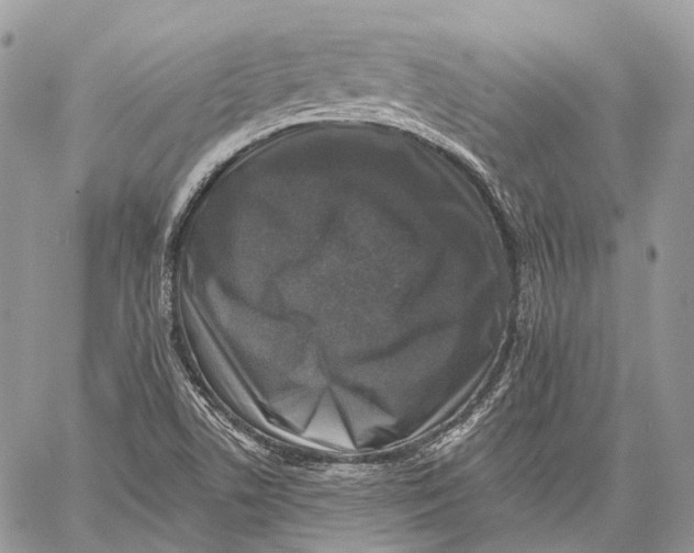 X0000060221506200511181159