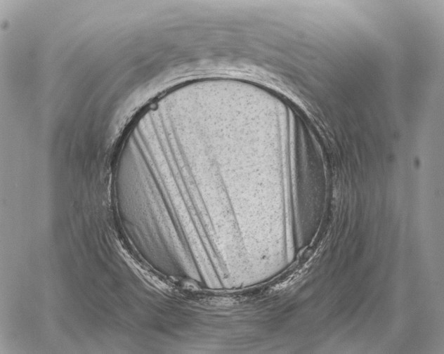 X0000060221507200511181159
