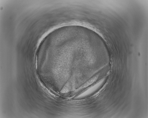 X0000060221510200511181159