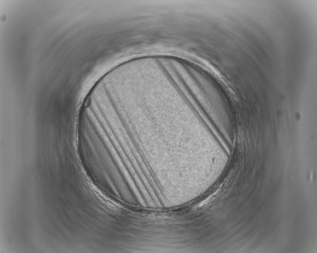X0000060221512200511181159