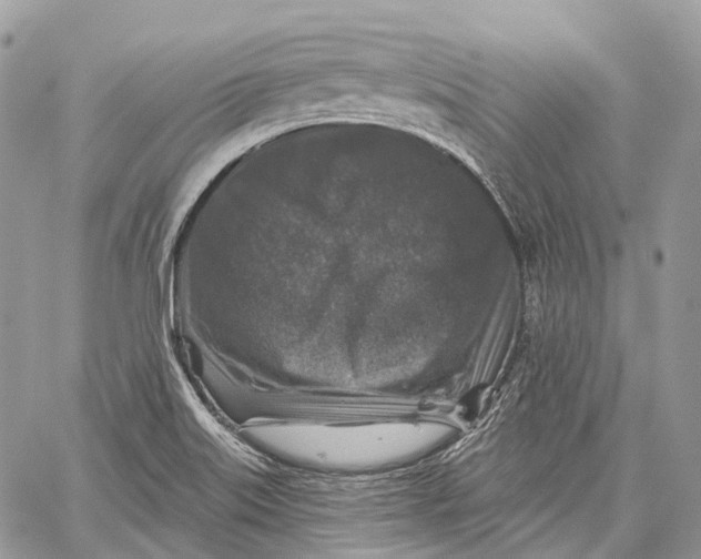 X0000060221515200511181159