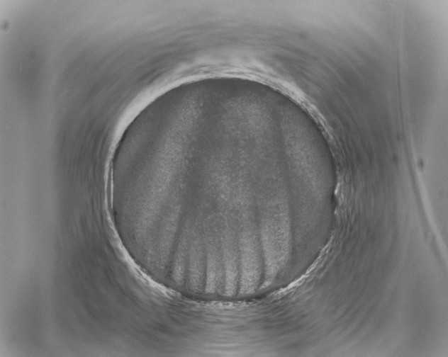 X0000060221520200511181159