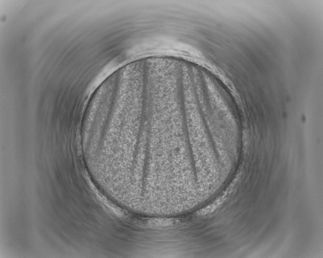 X0000060221521200511181159