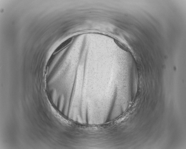 X0000060221524200511181159