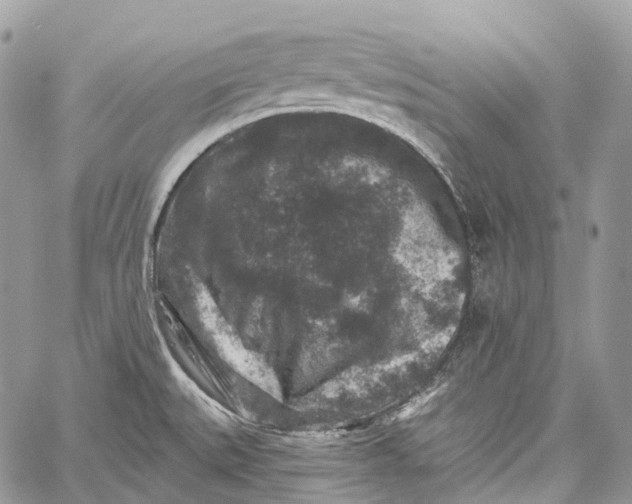 X0000060221527200511181159