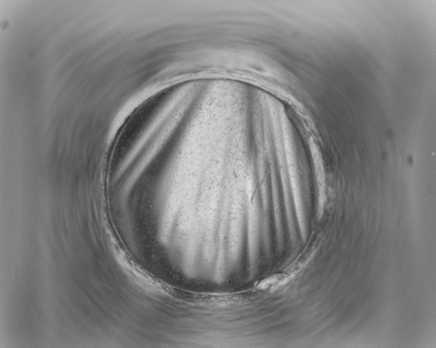 X0000060221530200511181200