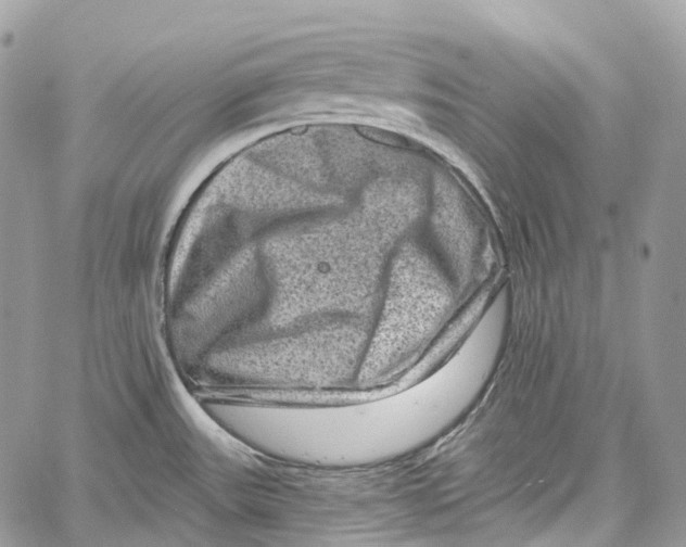 X0000060221531200511181200