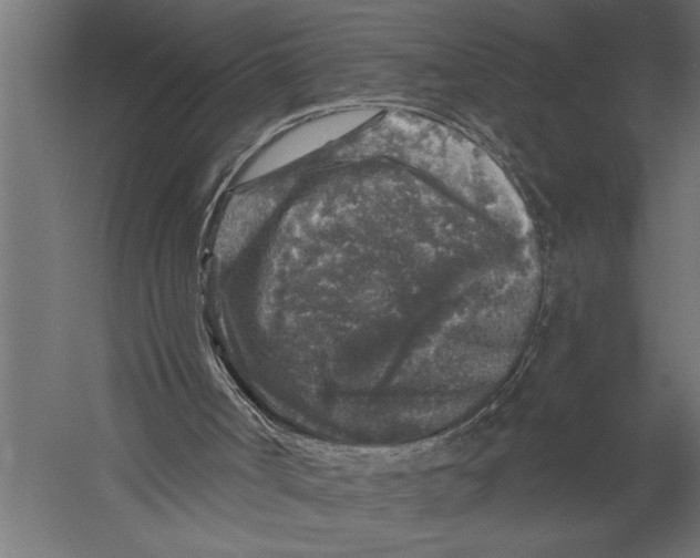 X0000060220002200511241252