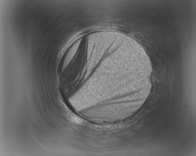 X0000060220005200511241252