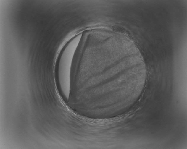 X0000060220006200511241252