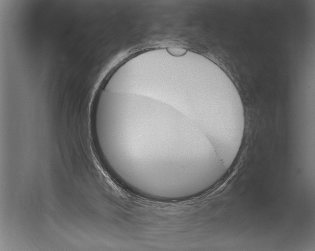 X0000060220008200511241252