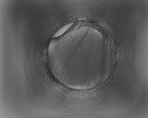 X0000060220029200511241251