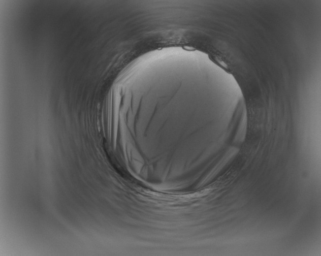 X0000060220035200511241251