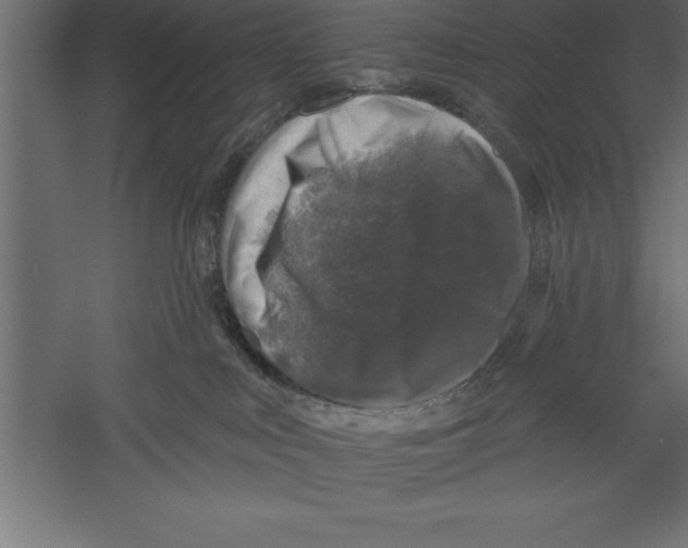 X0000060220043200511241251