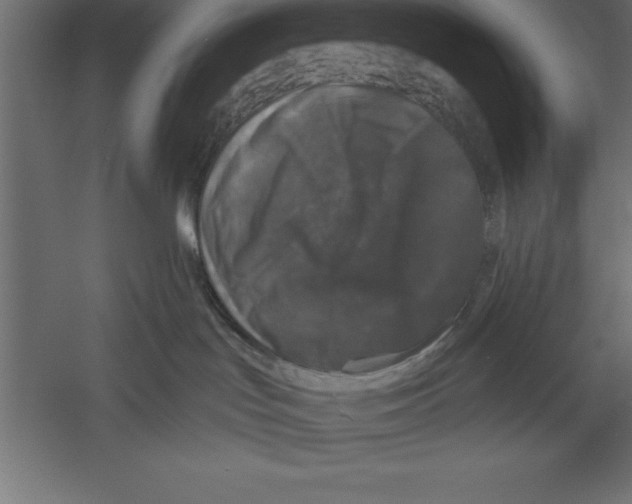 X0000060220047200511241251
