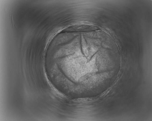 X0000060220049200511241250