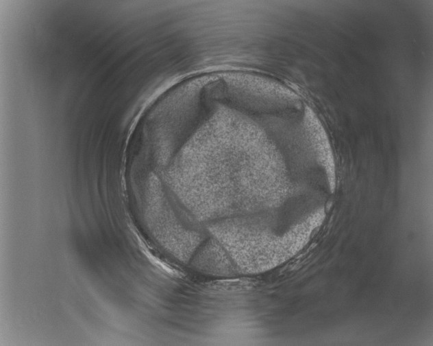 X0000060220050200511241250