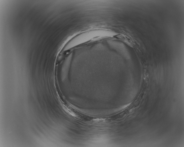 X0000060220052200511241250