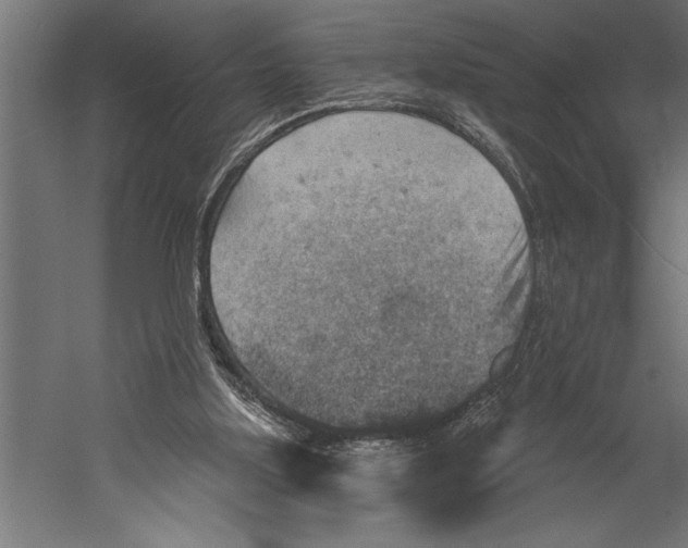 X0000060220059200511241250