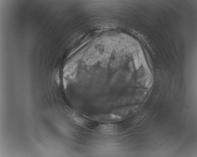 X0000060220069200511241250
