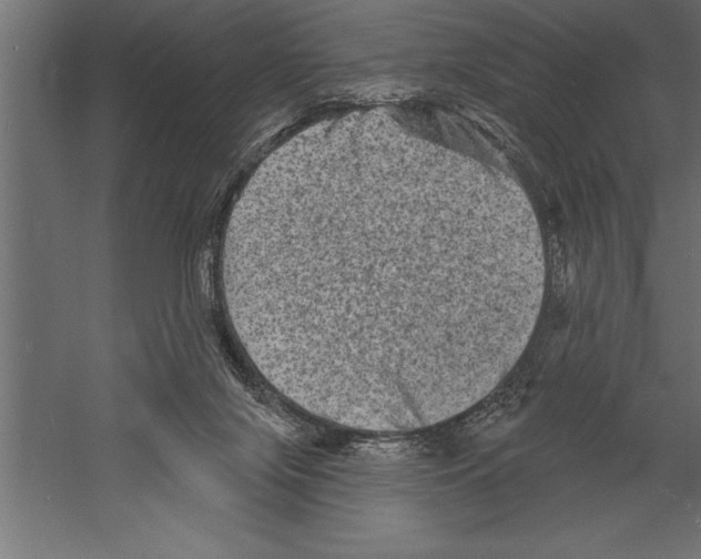 X0000060220071200511241251