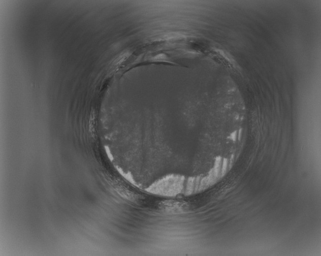 X0000060220073200511241251