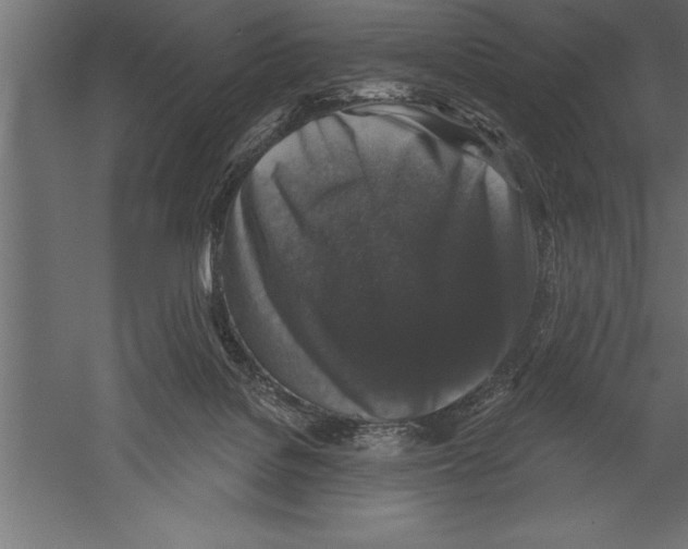X0000060220076200511241251