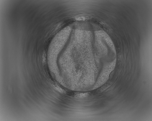 X0000060220081200511241251