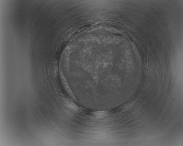X0000060220085200511241251