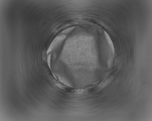 X0000060220096200511241251