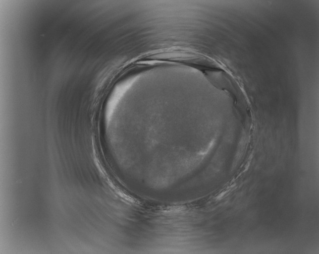 X0000060220097200511241250