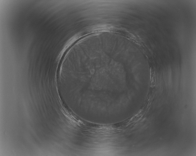 X0000060220099200511241250