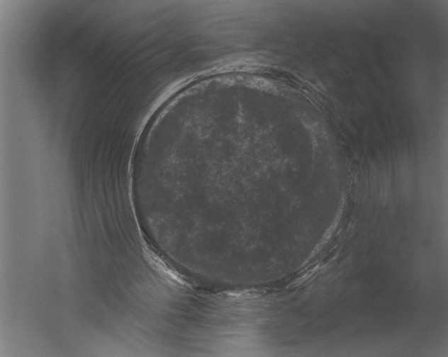 X0000060220100200511241250