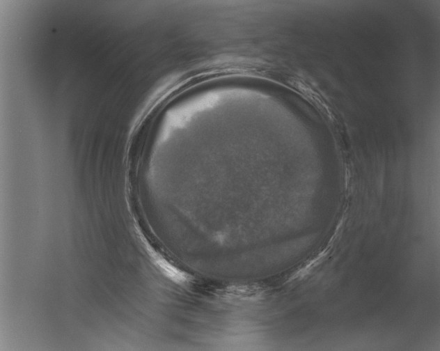 X0000060220101200511241250