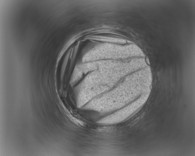 X0000060220102200511241250