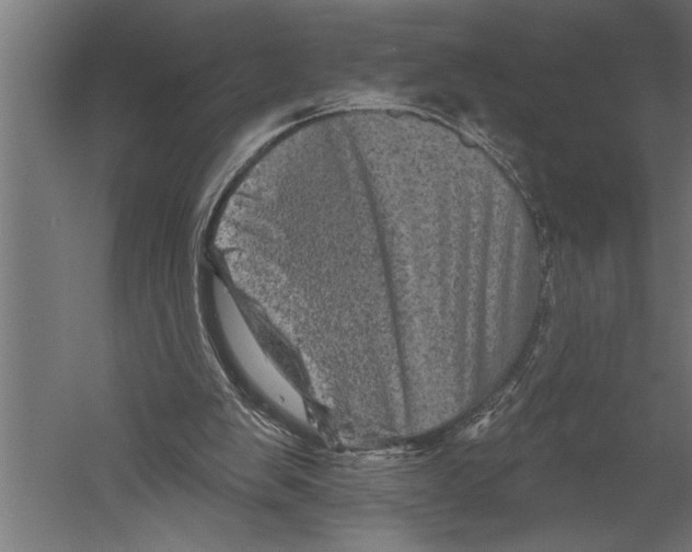 X0000060220103200511241250