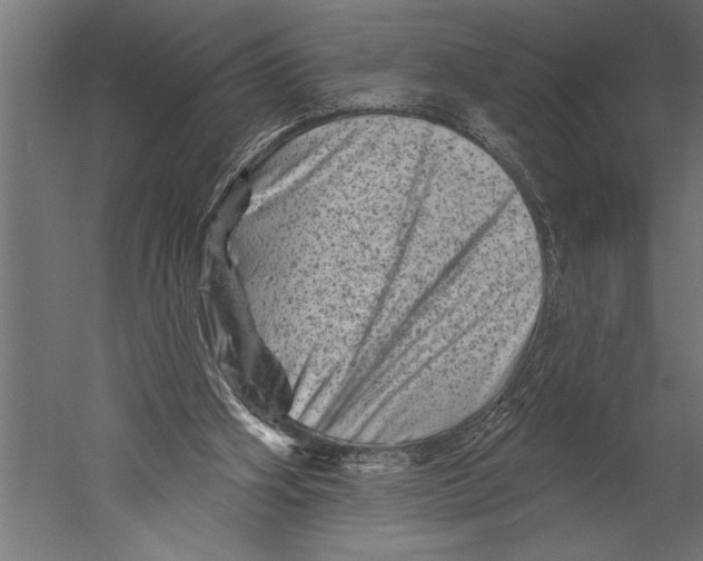 X0000060220106200511241250