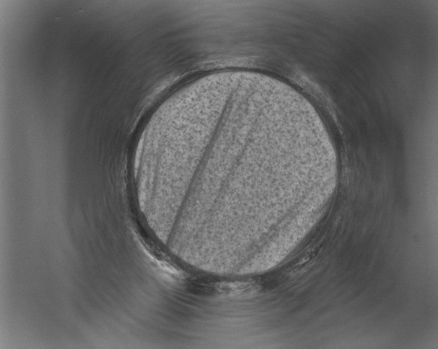 X0000060220107200511241250