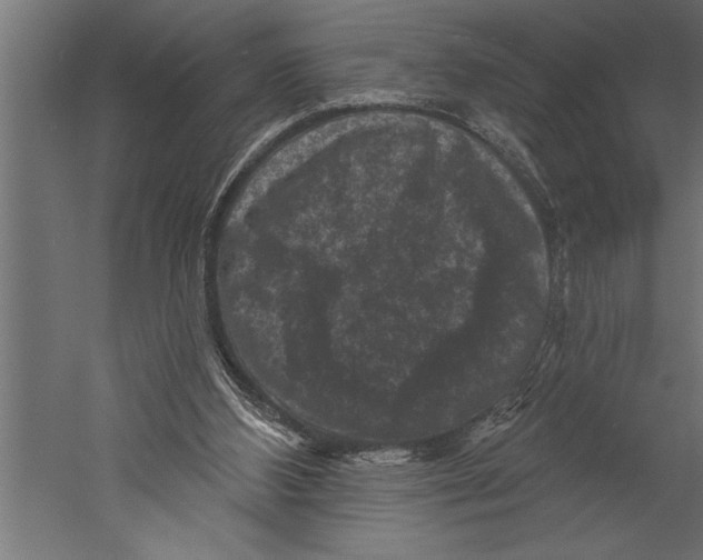 X0000060220108200511241250