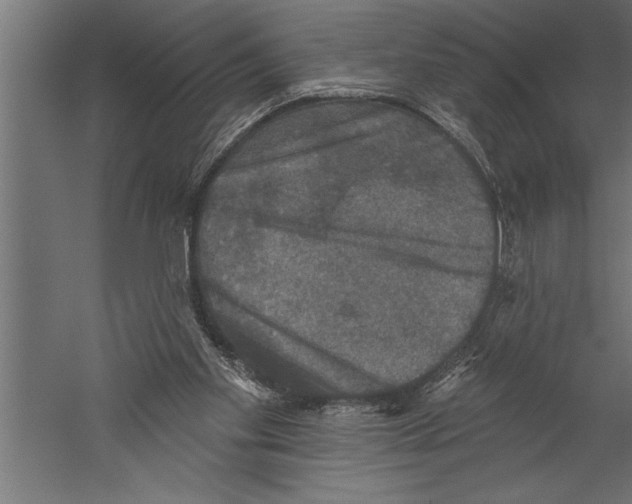 X0000060220109200511241250