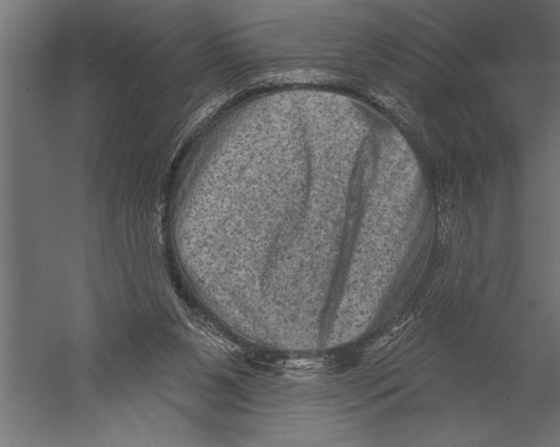 X0000060220111200511241250