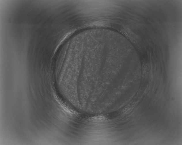 X0000060220112200511241250